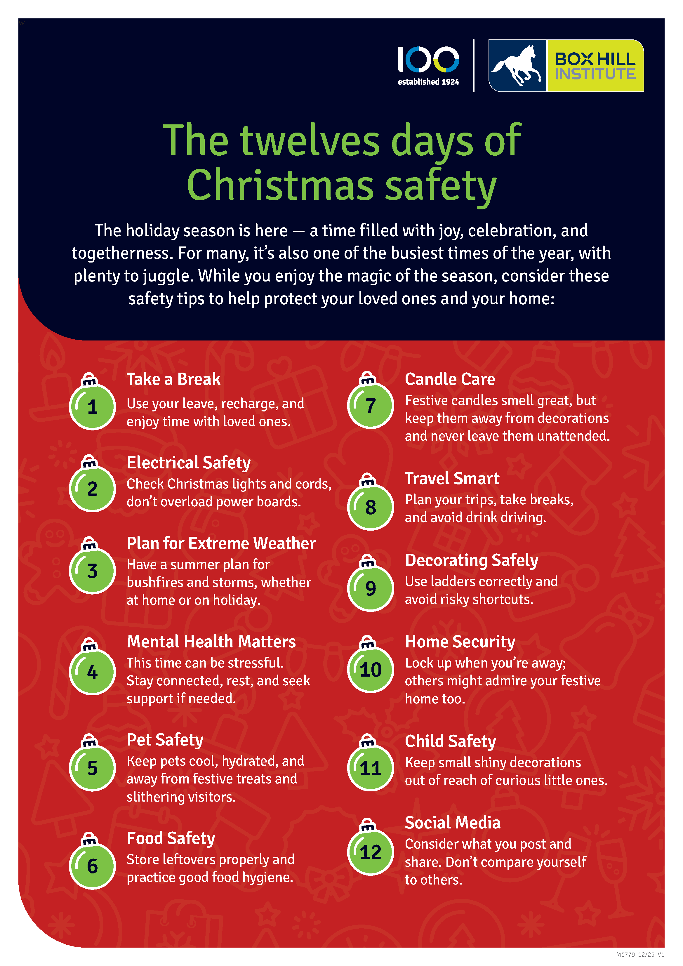 12 Days of Christmas Safety 2025